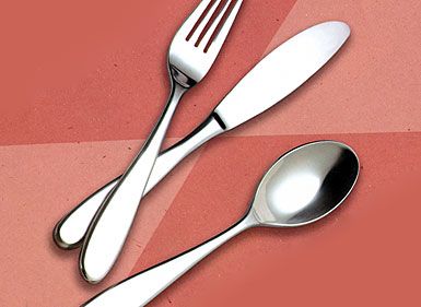 Stainless Steel Flatware Set by Gunjan Kitchenware